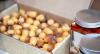 UAE food producers innovate amid rising demand for healthier options