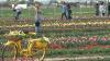 Utah agritourism surges in popularity as farmers adapt to changing industry