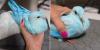 Pigeons dyed blue for gender reveal spotted at Salt River, sparking concerns