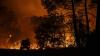 France orders evacuation of peninsula as wildfires rage