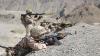Iranian border guards eliminate two terrorists in southeast border clash