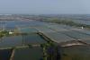 Kenya attracts US$3.95M investment in aquaculture industry