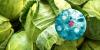 Restaurants and health officials respond to cyclospora outbreak as SC cases climb