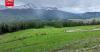 CMG hosts experience milk wine brewing, archery in Xinjiang