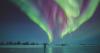 This Canadian town is the world's best place for northern lights and polar bears