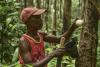 In Liberia, lots of rubber production but no new tyres