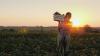 Farmers and Consumers Push to Rebuild Local Food Networks Outside Industrial Supply Chains