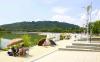 Parks add water play, night ecology tours, and summer gardening in Seoul