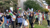 Harvard Touts ‘Counter-Zionist’ Professor, Palestinian Liberation Erotic Poetry Journal as Evidence of Progress Against Jew-Hate