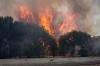 Spain declares state of emergency in two regions due to forest fires