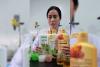 How Counterfeiting Threatens Cambodia's Homegrown Brands