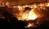 Arsonists used stray cats as fire-starters during Italy's wildfire emergency, police say