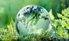 Retail sector urged to accelerate circular economy