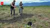 NATO tests giant grass to restore Ukraine's war-damaged soil; may break down explosive residue
