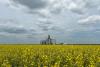Canada’s crops in best shape in a decade despite extreme weather, monitoring firm says