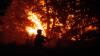 Wildfires force mass exodus in France, Spain as EU deploys aircraft