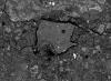 New Jersey Meteorite Offers Early Solar System Clues