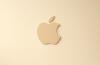 Apple taps American Airlines veteran Nate Gatten to head government affairs