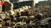 Construction workers in Ghent uncover a 500-year-old neighbourhood with 200 skeletons buried beneath it