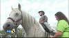 TCL in your Town: River Valley Riders Non-profit in Afton