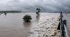 Punjab on High Alert as Chenab River Swells; Chiniot Canal breach floods crops