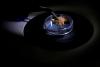 Brazil uses forensic science to trace gold’s origin and tackle illegal mining in the Amazon