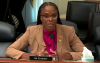 Democrat Stacey Plaskett, a ‘Friend’ of Jeffrey Epstein, Takes Max Donations from Dead Pedophile’s Political Fixer Who’s Backing Her Bid for Governor
