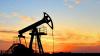 Environmental groups challenge federal decision to greenlight drilling in Conecuh National Forest