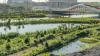 Toronto's newest park is getting bigger with a 10-acre expansion