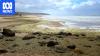 New report reveals what triggered SA's catastrophic algal bloom crisis