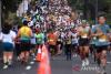 Indonesia bans Dutch duo over exclusive foreigner run club in Bali