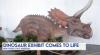 New dinosaur exhibit brings prehistoric adventure to New York State Museum