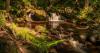 This ‘magical’ forest trail is the best walk in the UK