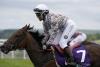 Magnolia Cup is an undoubted Goodwood success story - 15 years on from being greeted by doubters