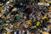 Malaysia tightens fight against toxic trade with e-waste ban