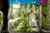 N.H. officials say 9 people contracted cyclosporiasis from lettuce at Keene hospital cafeteria