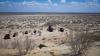 The Aral Sea isn’t just an ecological nightmare — it’s a carbon bomb