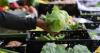 How the cyclospora outbreak is impacting the food industry