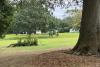 Travellers remain on Middleforth Green in Penwortham despite South Ribble Council's efforts to remove them