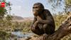 Scientists discover a 17-million-year-old ape fossil in Egypt that could rewrite early ape evolution