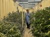 The View From Inside a Medical Marijuana Production Facility