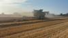 Harvest 2026: Harvest nears completion for some