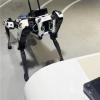 Boston Dynamics’ Spot Robot at Seoul Museum Now Understands Korean Voice Commands