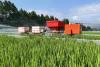 Small-scale farmers key to food security