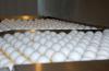 South Korea to import 210 million eggs from US, Thailand