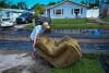 Florida’s Insurance Lawsuits Are Down—Homeowners Aren’t Seeing Savings Yet
