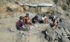 Rare dinosaur discovery could be Portugal’s most complete ever
