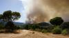 National emergency declared in Spain as tens of thousands flee wildfires near Madrid