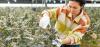The Cannabist to Close Two Cultivation Sites in New Jersey, Cutting 86 Jobs 