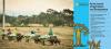 Building stronger agri-food systems takes more than higher yields, new AJAD studies show